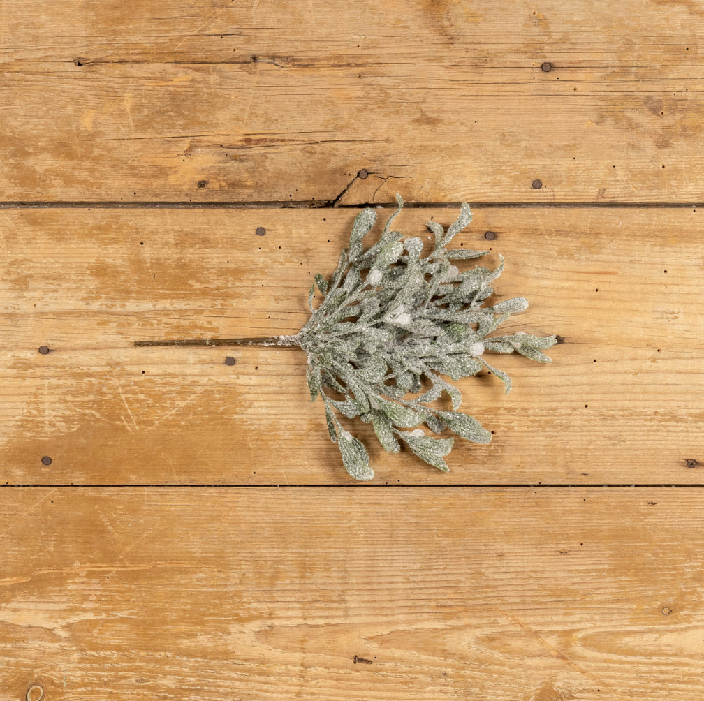 Frosted Mistletoe Bush