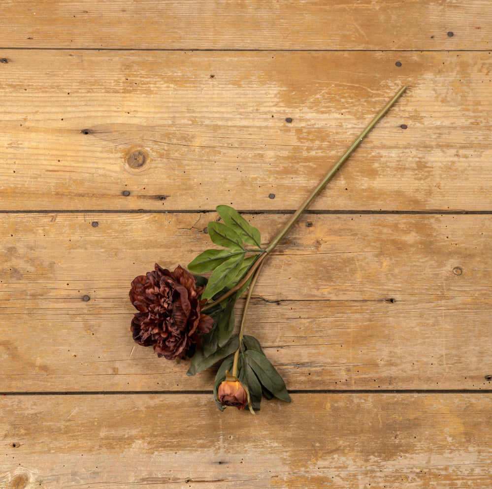 Burgundy Peony Spray