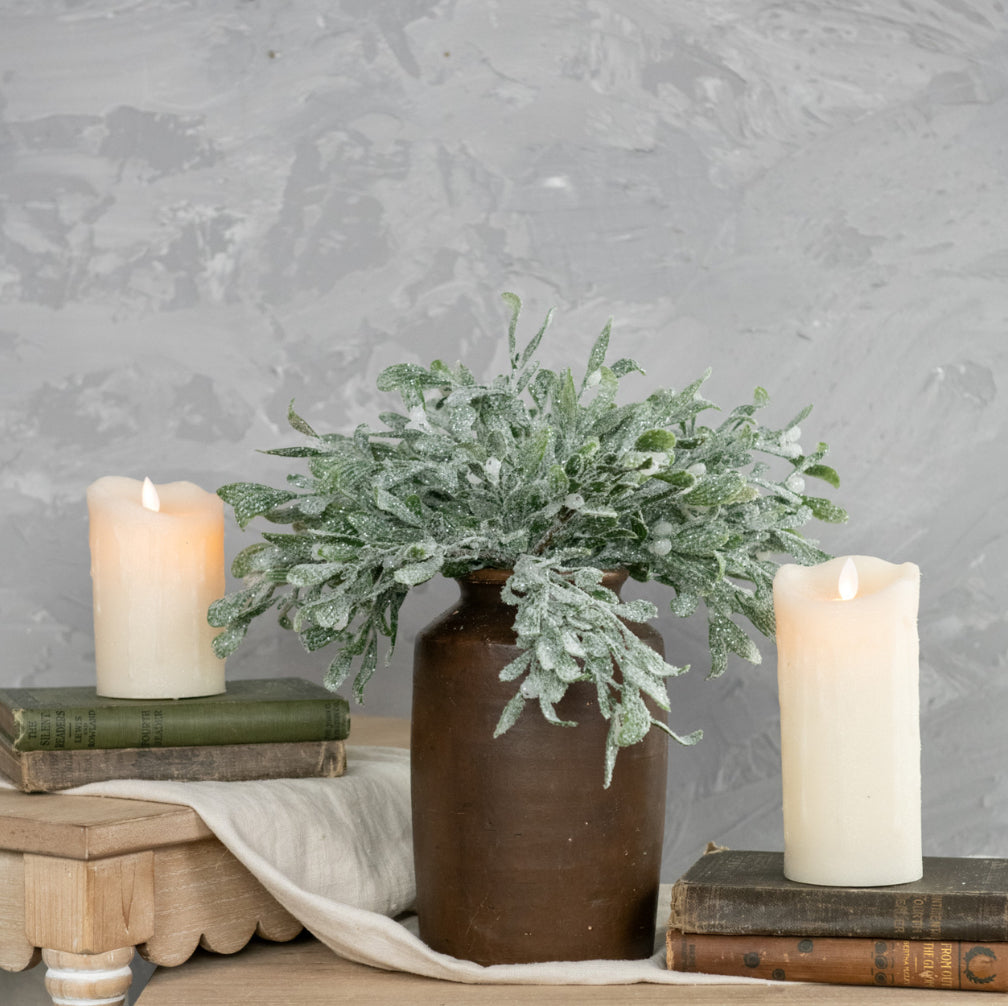 Frosted Mistletoe Bush
