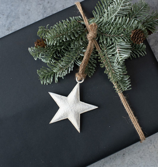 Metal Star Ornament